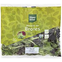HiperDino brotes ensalada mezclum Canarias 175 g