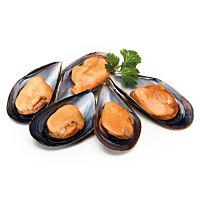 Mejillones media concha congelados bolsa 900 gr