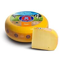 Castillo queso gouda plato kg