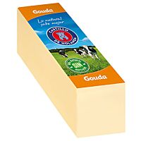Castillo queso gouda barra kg