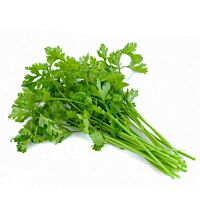 Cilantro bolsa 60 g