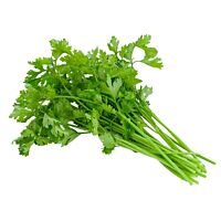 Cilantro bolsa 60 g FRUTERIA