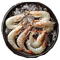 Langostino salvaje nº 4 granel