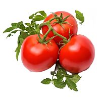 Tomate en rama al peso