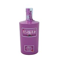 Status 15 Bilberry ginebra 40º 70 cl