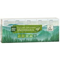 HiperDino pañuelos mentolados paq 10x9 uds.