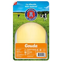 Castillo queso gouda lonchas 150 gr