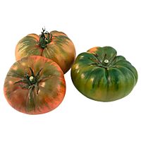 Tomate raf verde bdj 500 gr