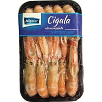 Aligator cigala 8-10 piezas 400 g