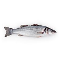Lubina pieza entera 600 - 800 g