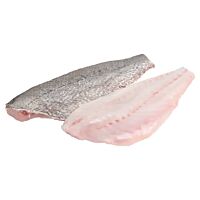 Corvina fresca filete kg