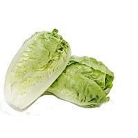 Lechuga cogollo corazon bandeja 6 ud