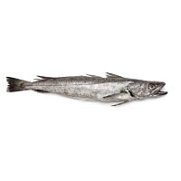 Merluza de pincho pieza entera 3 kg