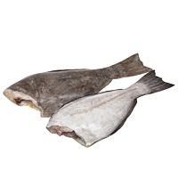 Lenguado perro pieza entera kg