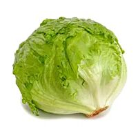 Lechuga iceberg ud