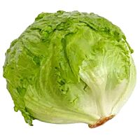 Lechuga iceberg ud