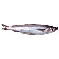 Bacaladilla pieza entera