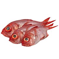 Fula de altura pieza entera