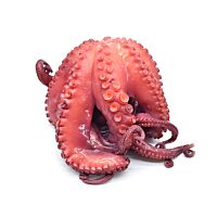 Pulpo mediano descongelado pieza entera