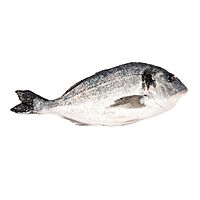 Dorada pieza entera 600 - 800 g