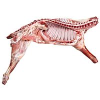 Cordero lechal fresco entero o por medios kg