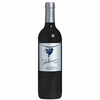 Vandama vino tinto D.O Gran Canaria 75 cl