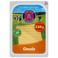 Castillo queso gouda lonchas 250 g