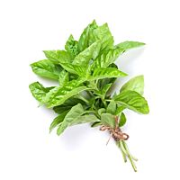 Albahaca manojo bolsa 60 g