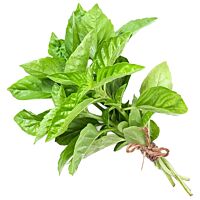 Albahaca manojo bolsa 60 g