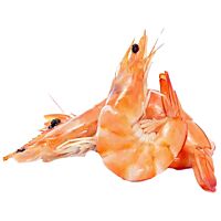 Langostino cocido 40-60 kg