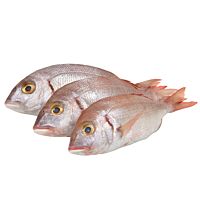 Breca pieza entera