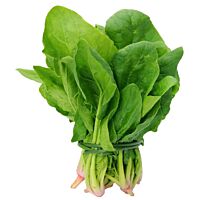 Espinacas manojo 100 g