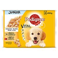 Pedigree perro pouch junior pollo y buey 4 x 100 g