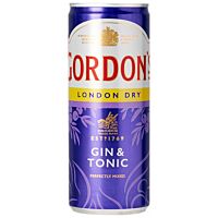 Gordon´s combinado con tónica 25 cl GORDON`S
