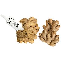 jengibre ecológico bandeja aprox 150 gr