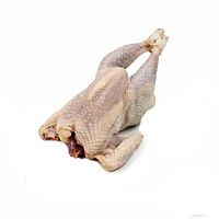 Gallina entera kg