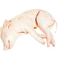 Cerdo lechon fresco vacio kg