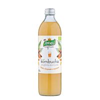 Santivery Kombucha de cúrcuma y jengibre eco 500 ml
