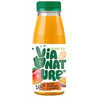 Via Nature vital bebida de mango, maracuyá y gings 250 ml