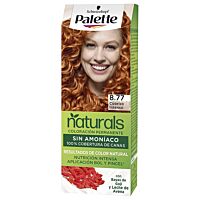 Palette Natural Colors crema cobrizo intenso 8.77