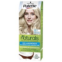 Palette Natural Colors crema rueco extra claro ceniza 12.1