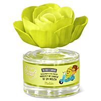 The Fruit Company ambientador flower de melón 50 ml