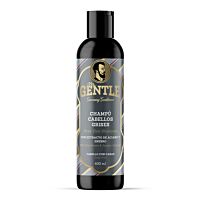 Mr Gentle champú cabellos grises 400 ml