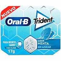 Trident Oral-B chicles de hierbabuena 17 g