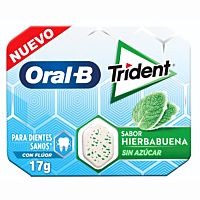 Trident Oral-B chicles de menta 17 g