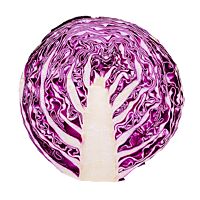 Col roja partida al peso