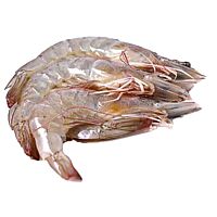 Langostino crudo congelado 30-40 en bandeja