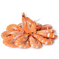 Langostino cocido 40/60 g congelado envasado