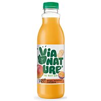 Via Nature vital bebida de mango, maracuyá y gings 750 ml