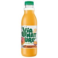 Via Nature vital bebida de mango, maracuyá y gings 750 ml